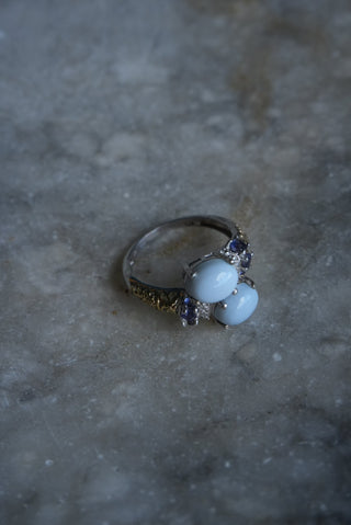 Robins Egg - Dual Tone Bypass Ring