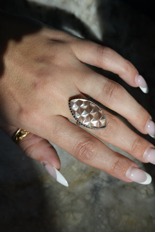 ABALONE FRACTALS SZ 7