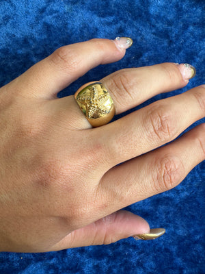 GOLDEN SHELLY SZ 6