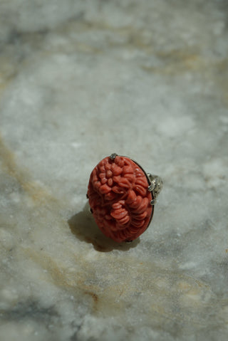 ANTIQUE CARVED CORAL SZ 6-8