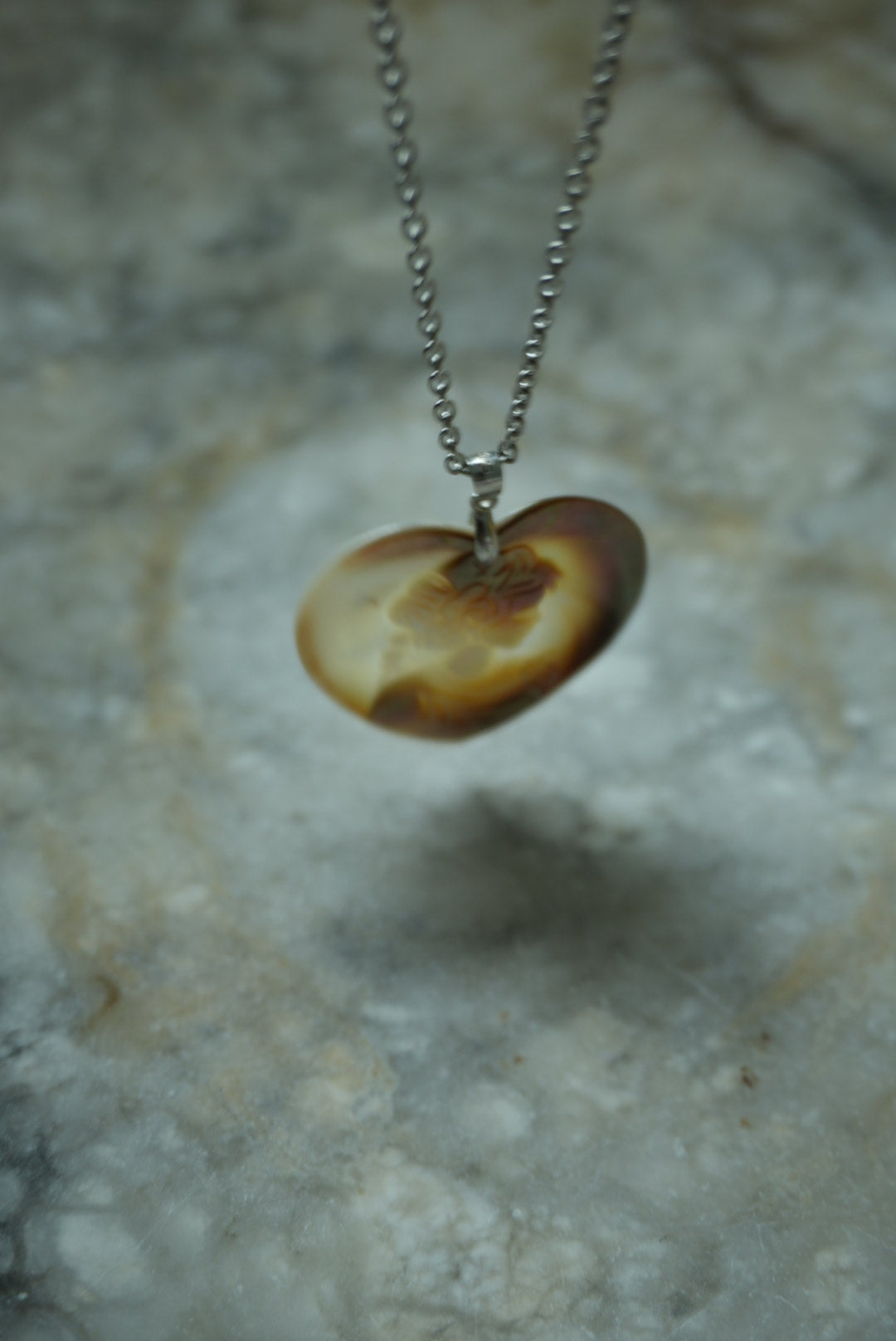 ABALONE CAMEO