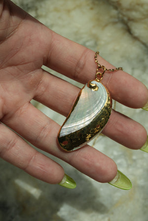 MARINERS SHELL