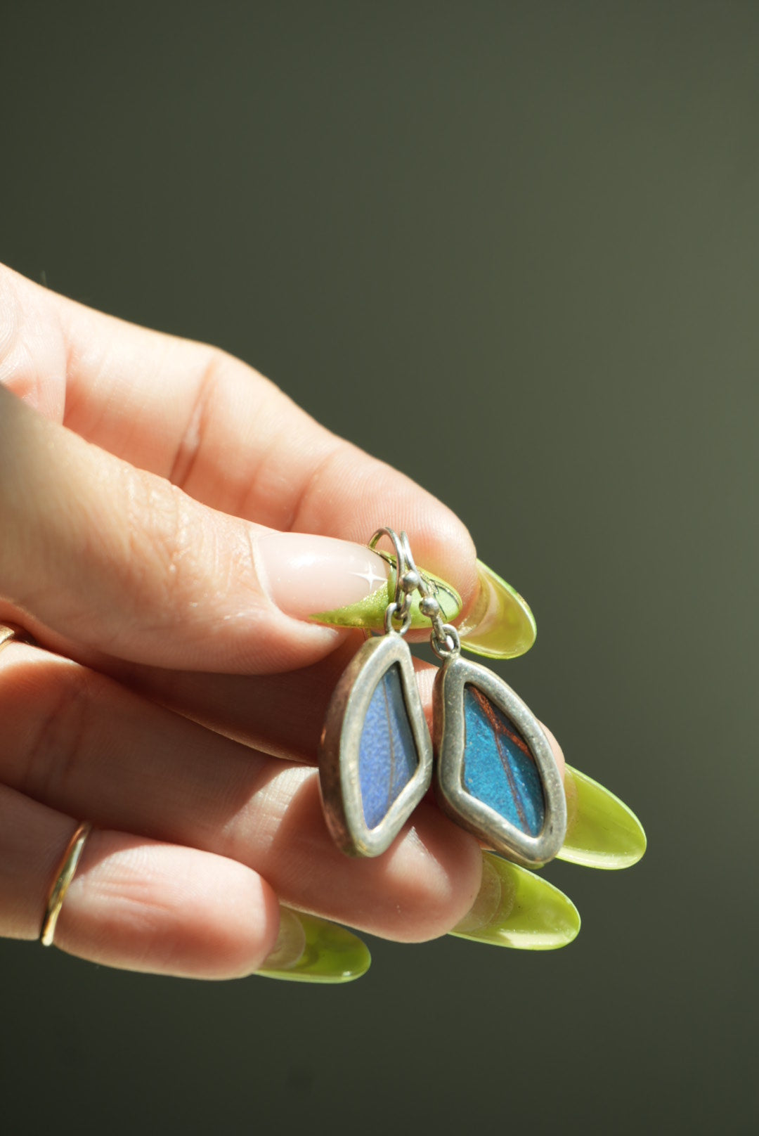 MORPHO BUTTERFLY WINGS