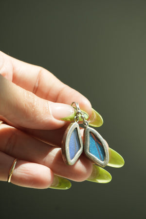 MORPHO BUTTERFLY WINGS