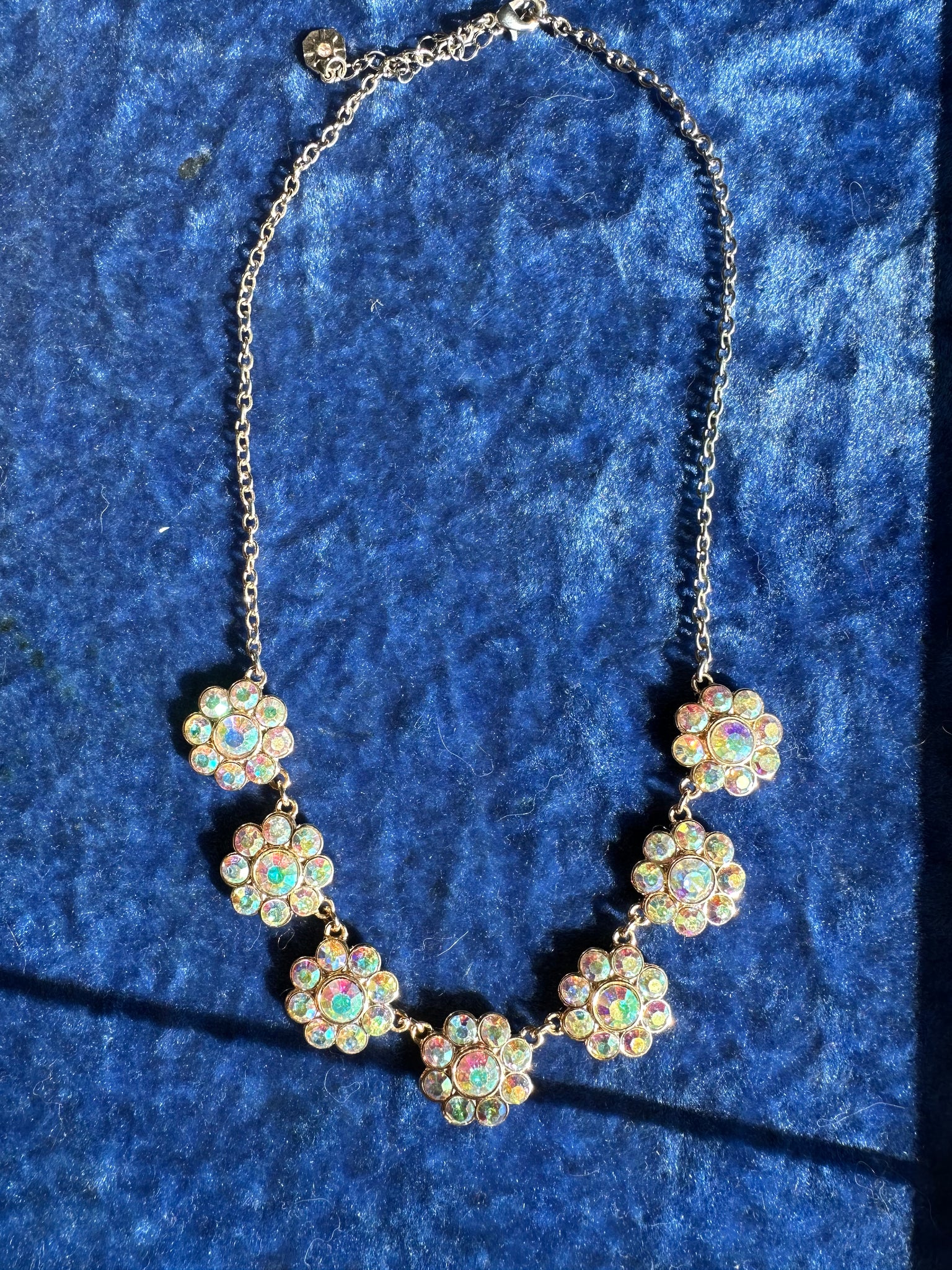 RAINBOW FLOWERS